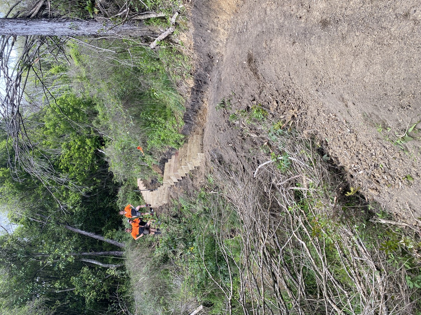 Track staircase construction in native bush
