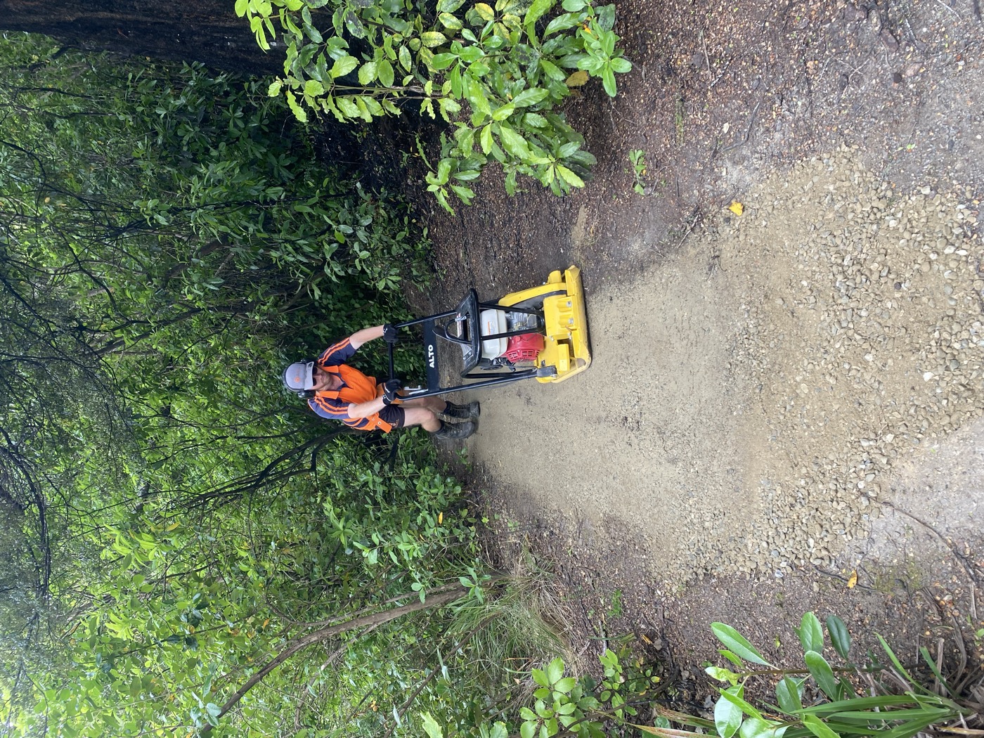 Track surfacing with plate compactor through bush