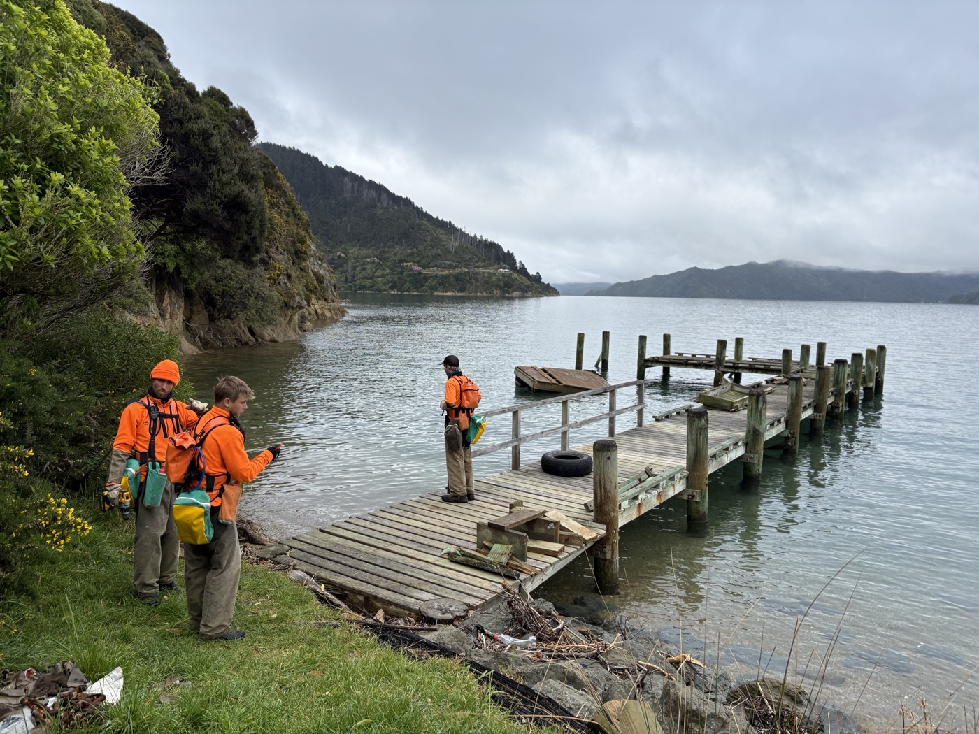 Team at coastal jetty, weed management