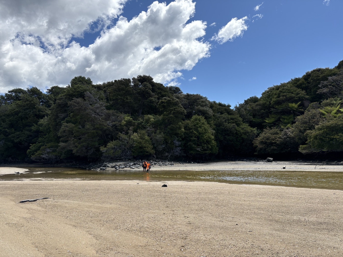 Coastal estuary ecological survey