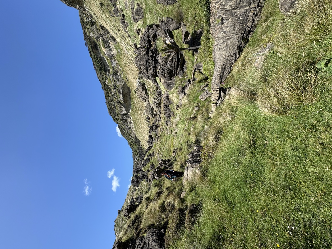 Alpine terrain ecological survey